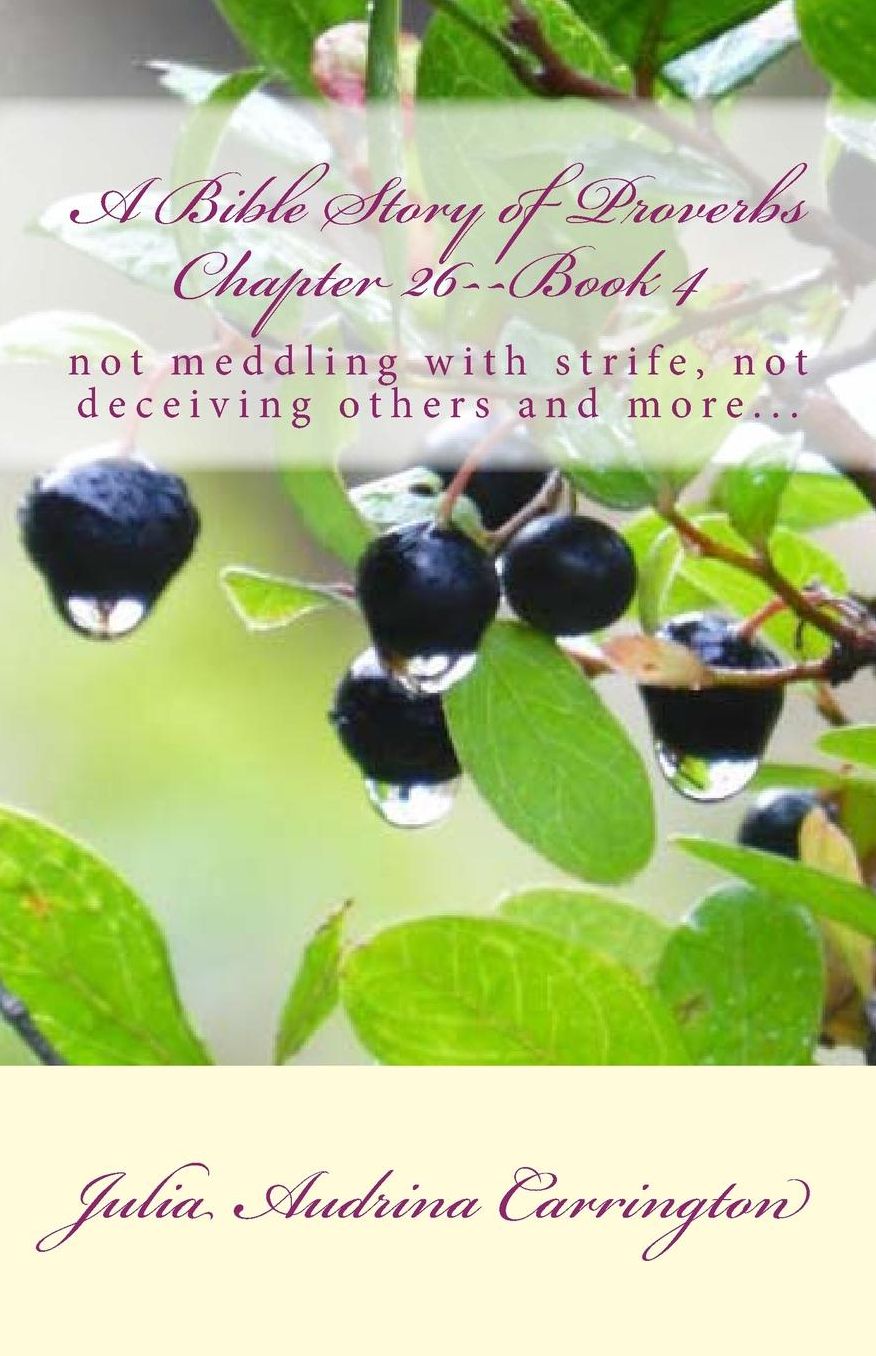 A Bible Story of Proverbs Chapter 26--Book 4
