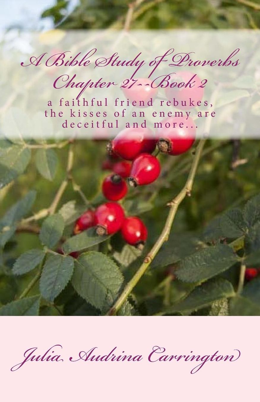A Bible Study of Proverbs Chapter 27--Book 2