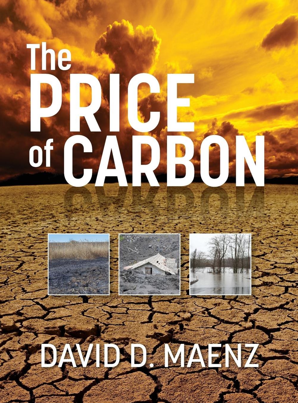 The Price of Carbon