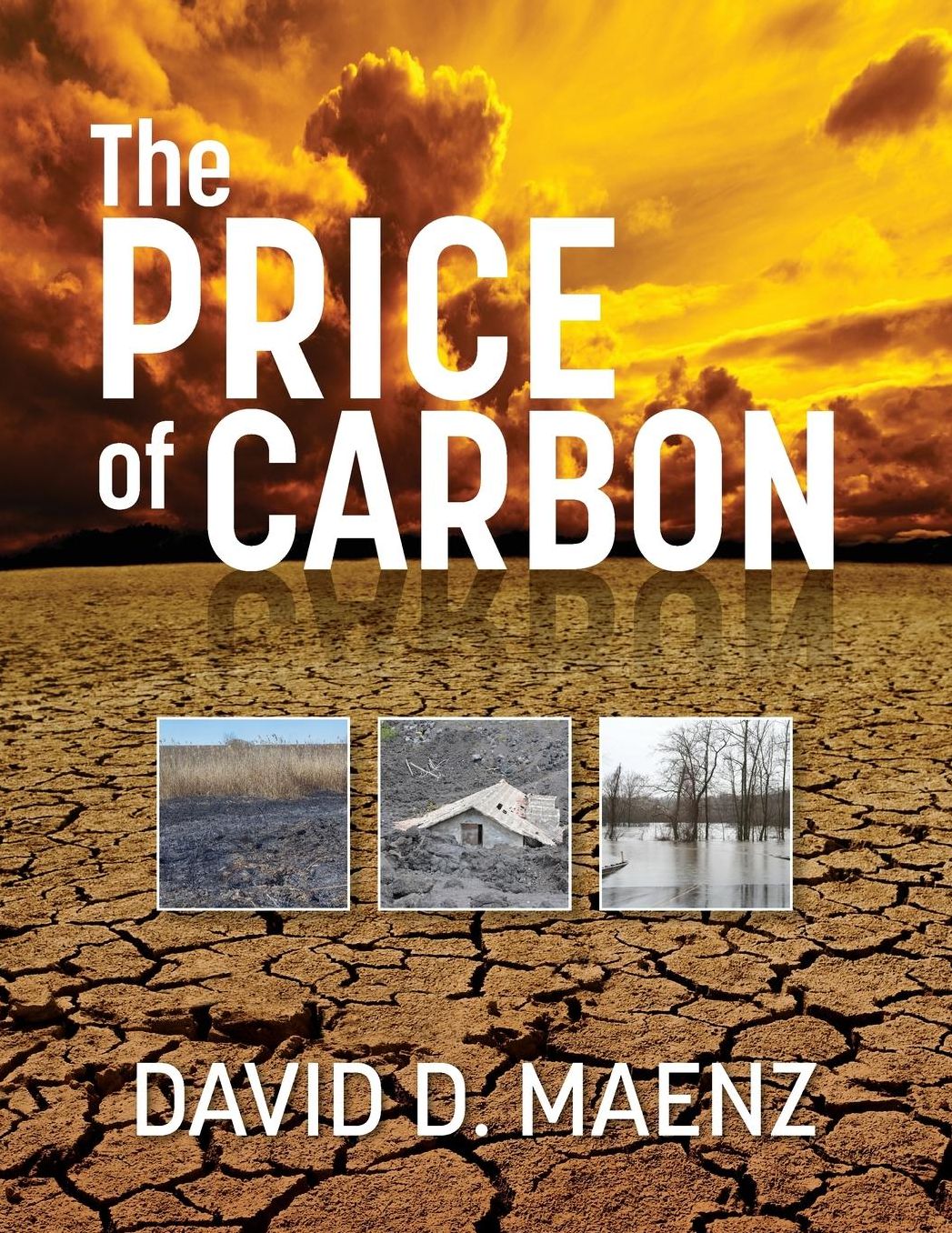 The Price of Carbon