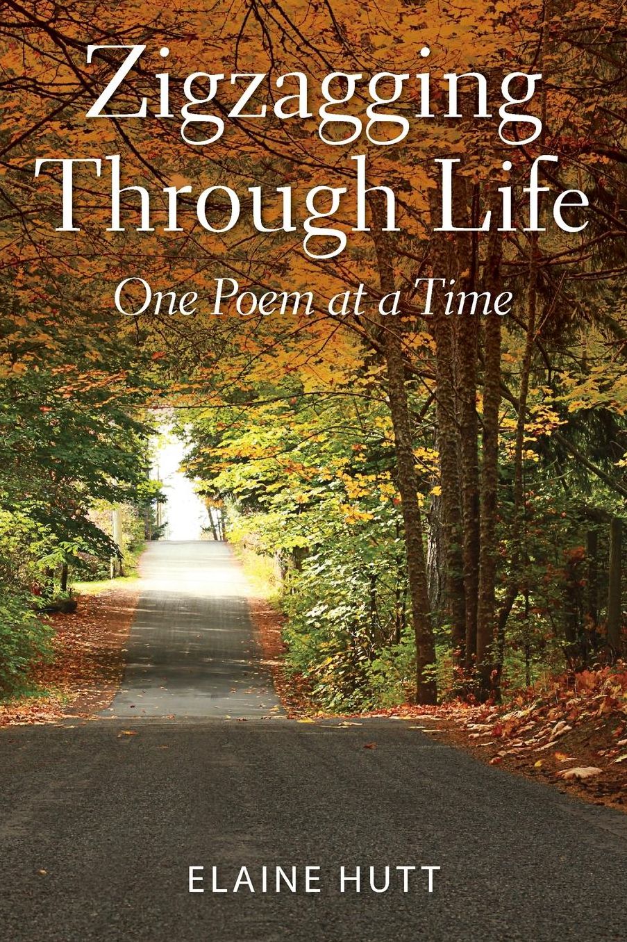 Zigzagging Through Life: One Poem at a Time