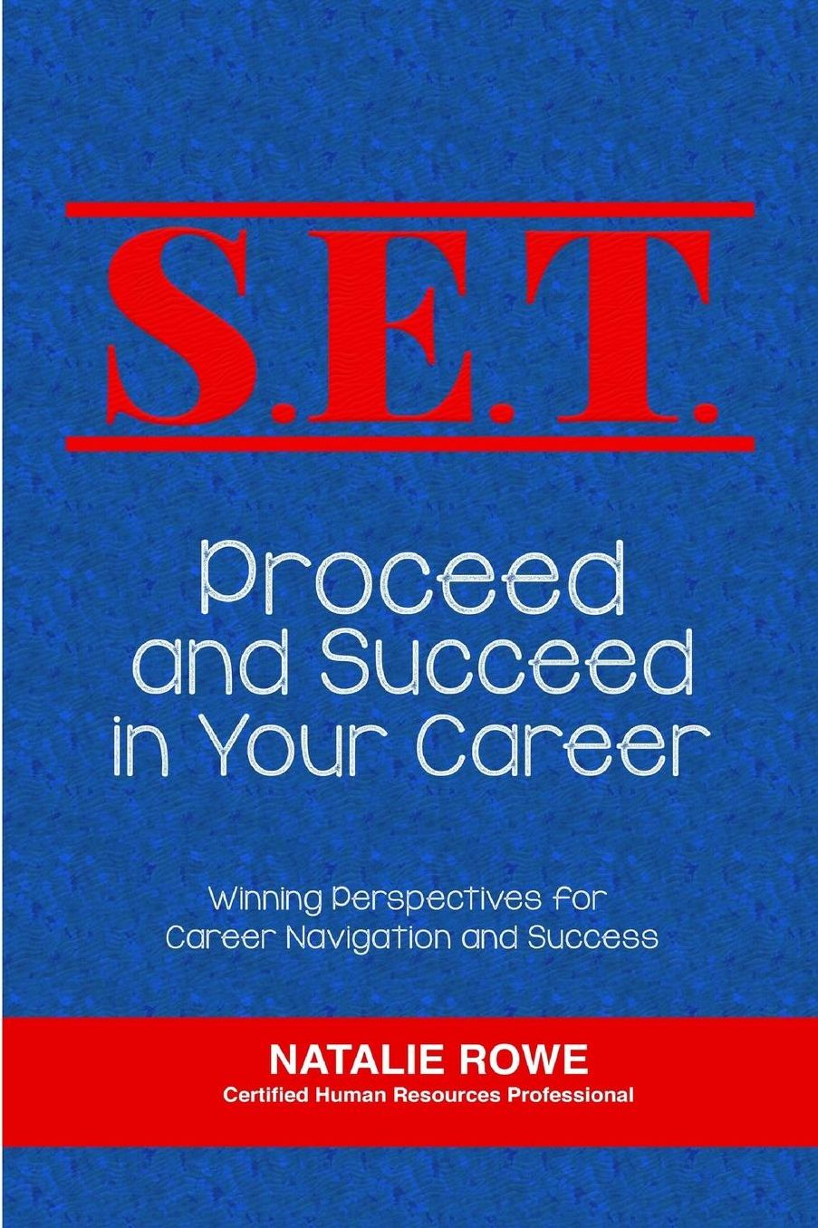 S.E.T. Proceed and Succeed in Your Career: Winning Perspectives for Career Navigation and Success