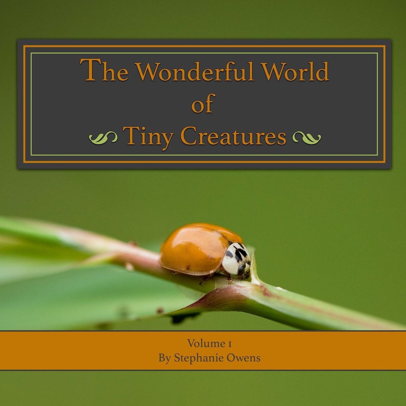 The Wonderful World of Tiny Creatures: Love Learning Nature
