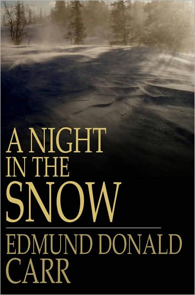 A Night in the Snow: A Struggle for Life