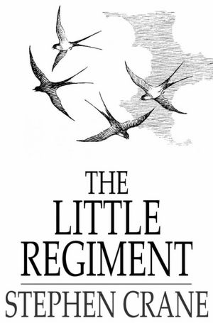 The Little Regiment, and Other Episodes of the American Civil War