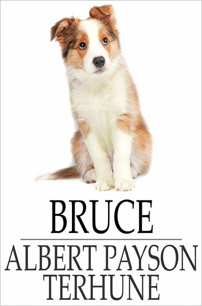 Bruce