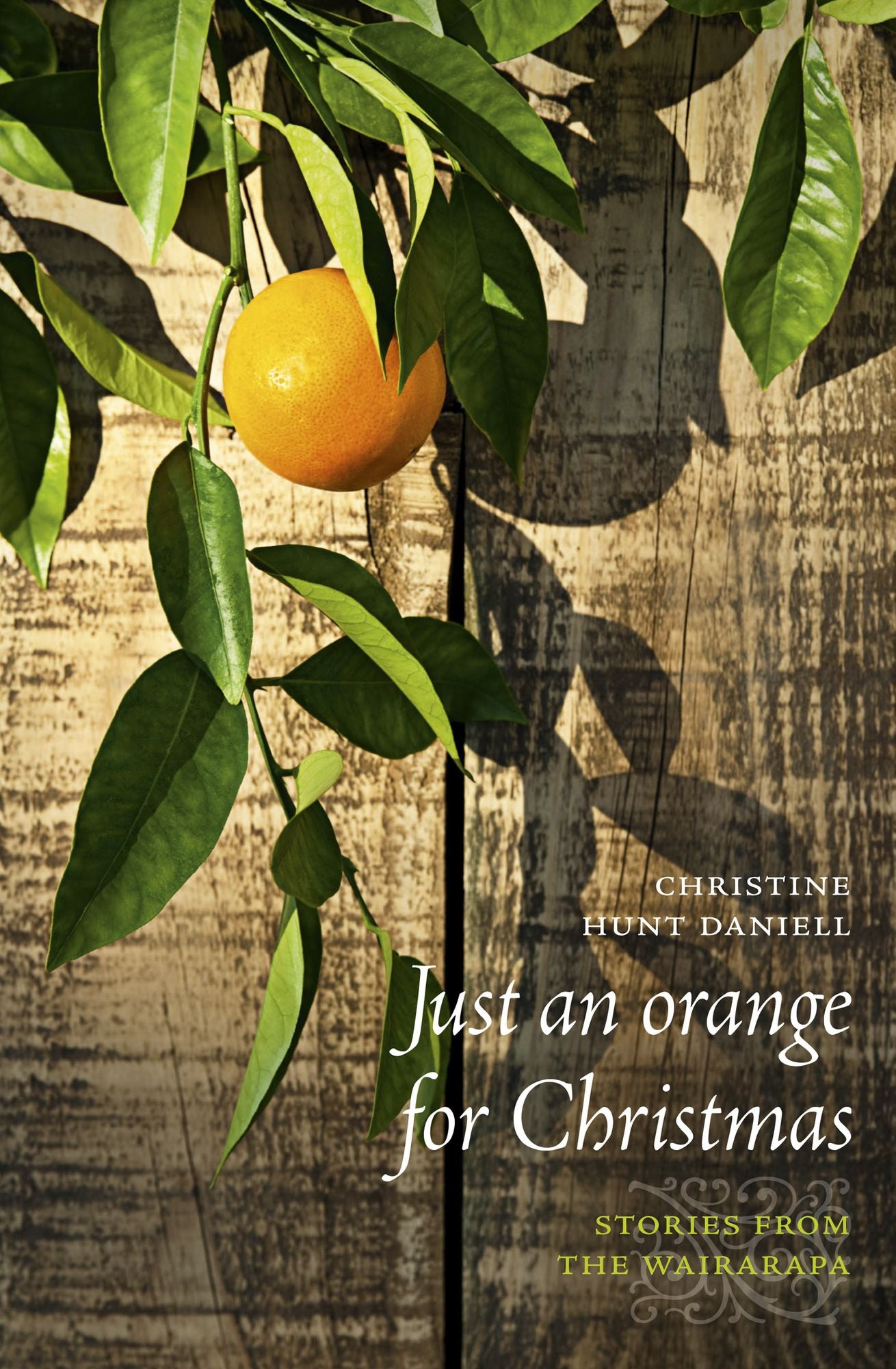 Just an Orange for Christmas : Stories from the Wairarapa
