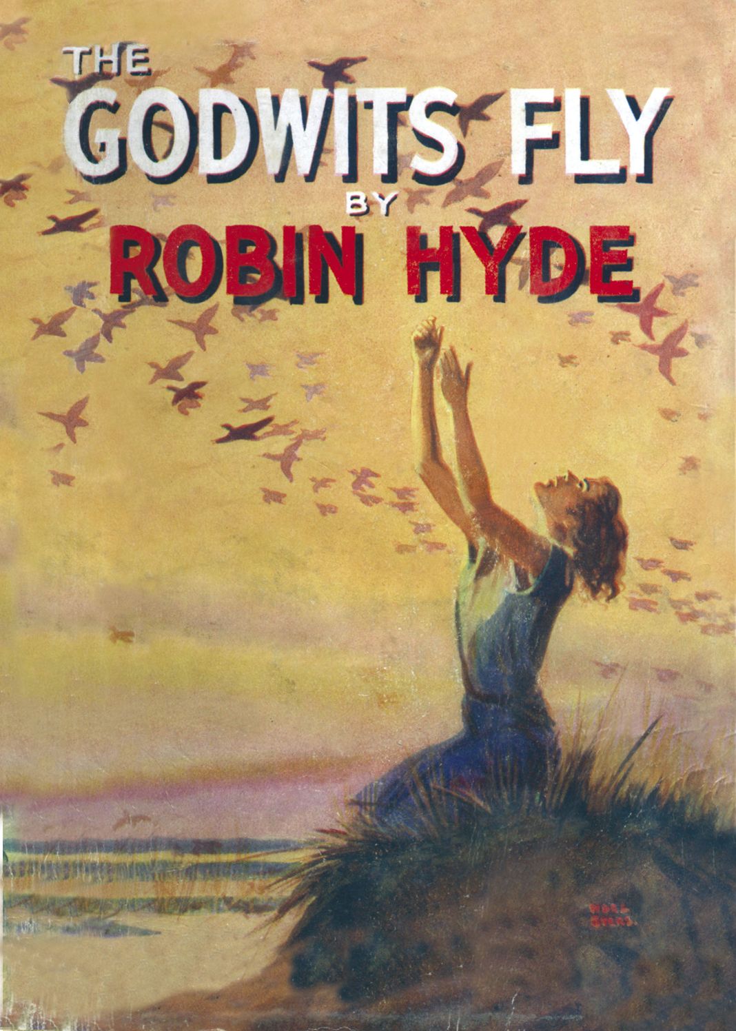 The Godwits Fly