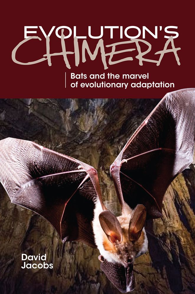 Evolution's Chimera: Bats and the Marvel of Evolutionary Adaptation