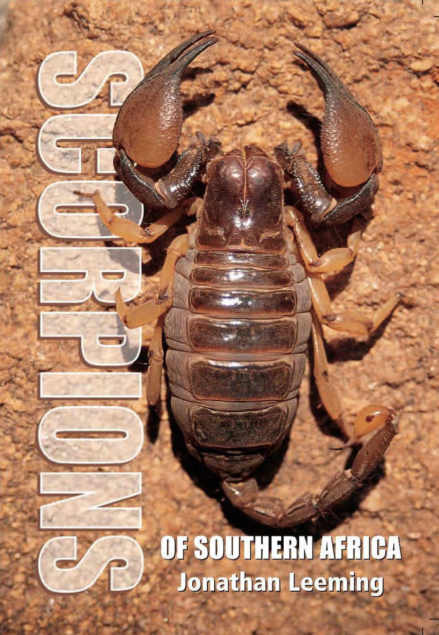 Scorpions of Southern Africa