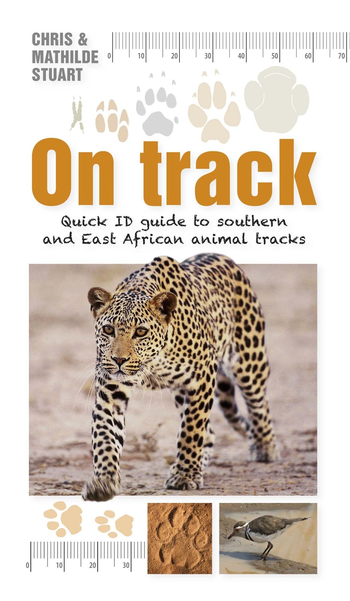 On Track: Quick ID guide to southern and East African animal tracks