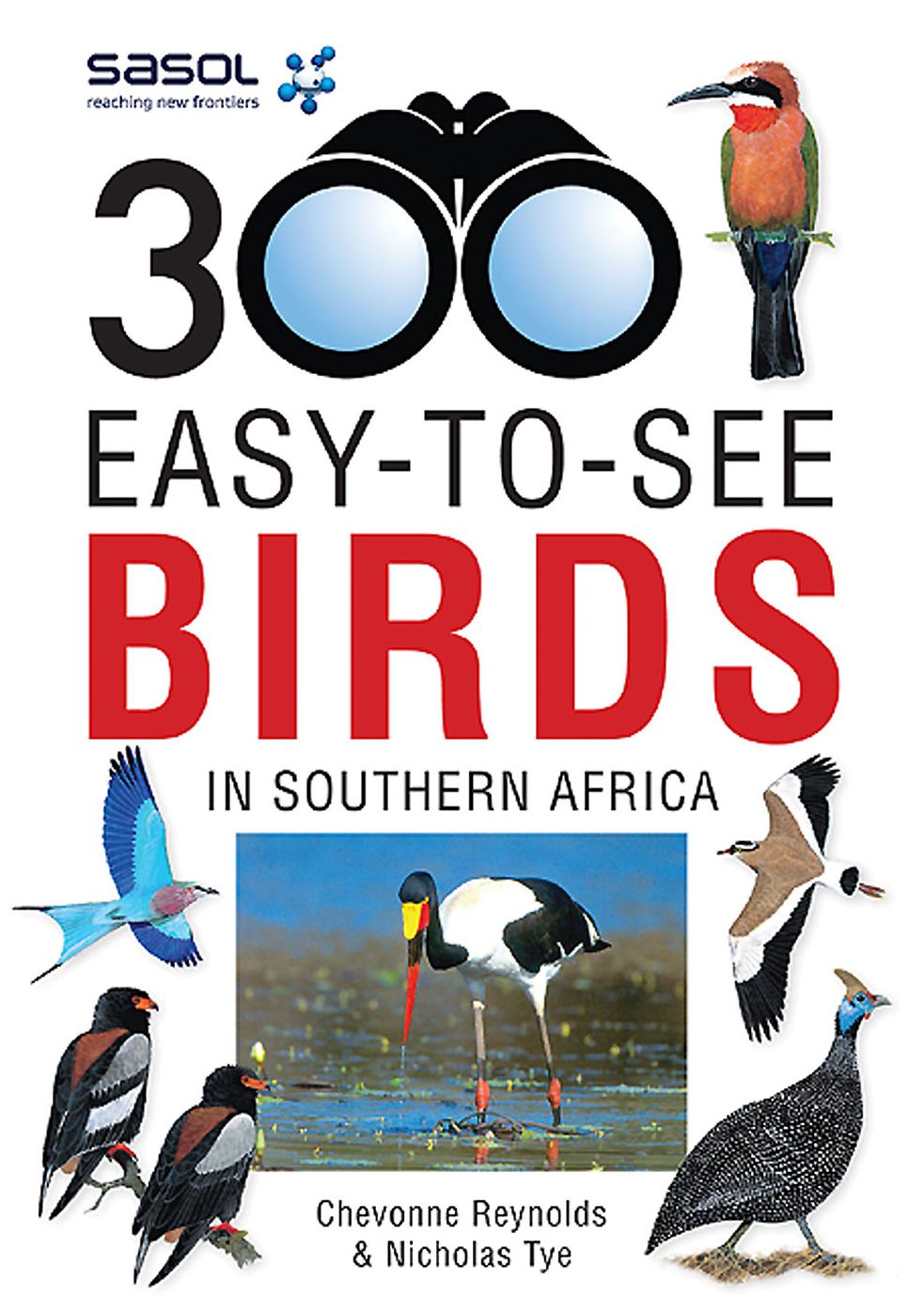 Sasol 300 easy-to-see Birds in Southern Africa