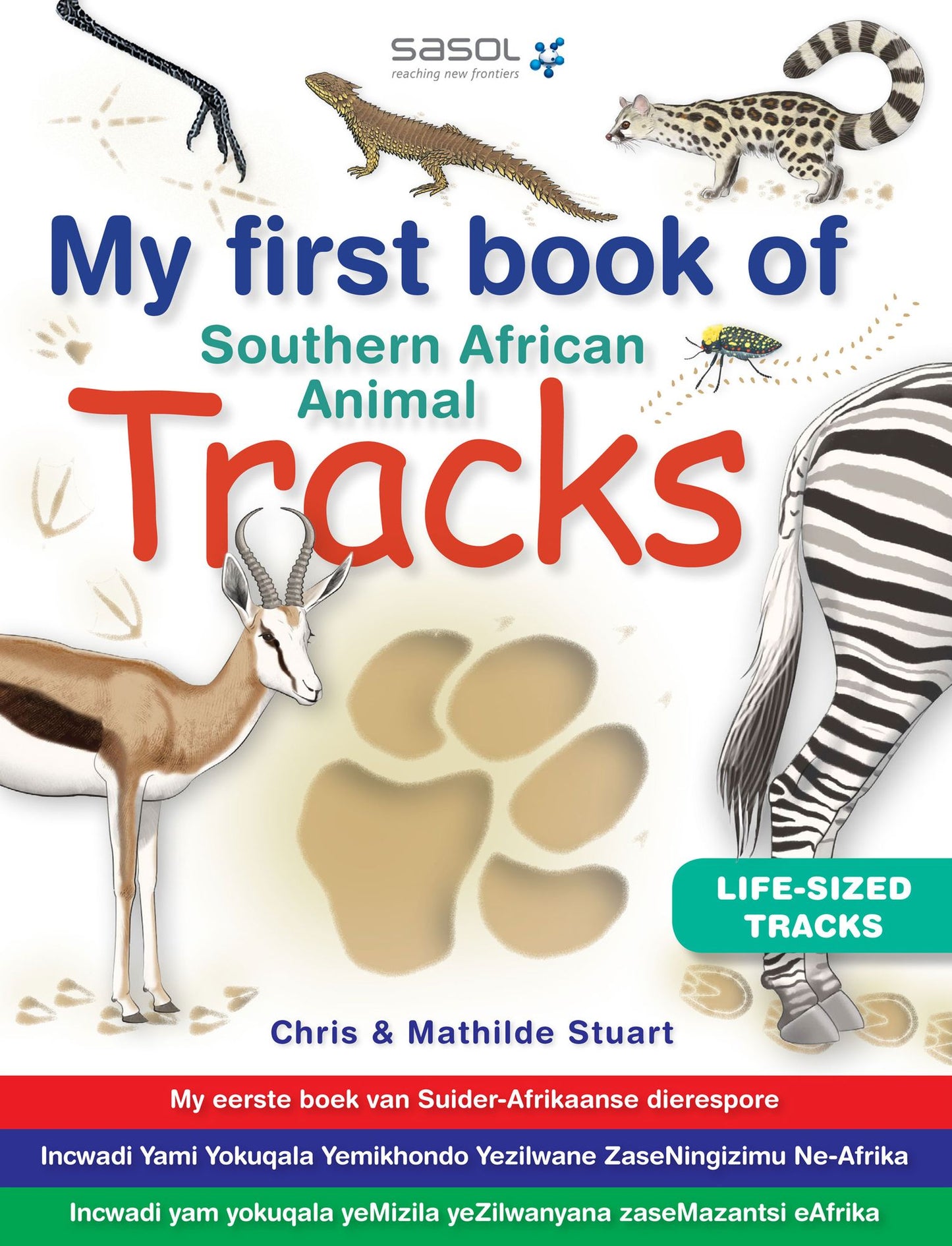 My First Book of Southern African Animal Tracks