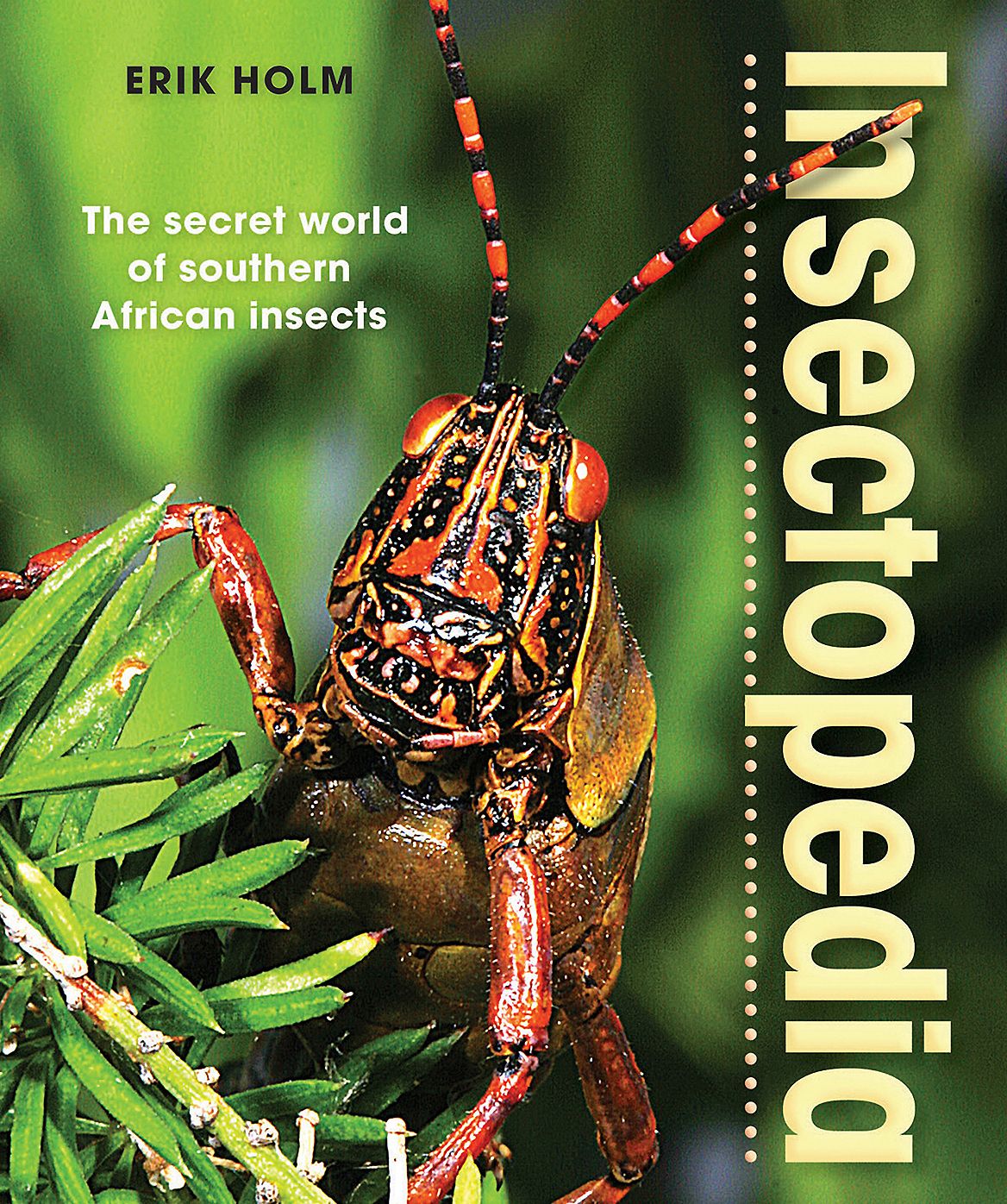 Insectopedia: The secret world of southern African insects