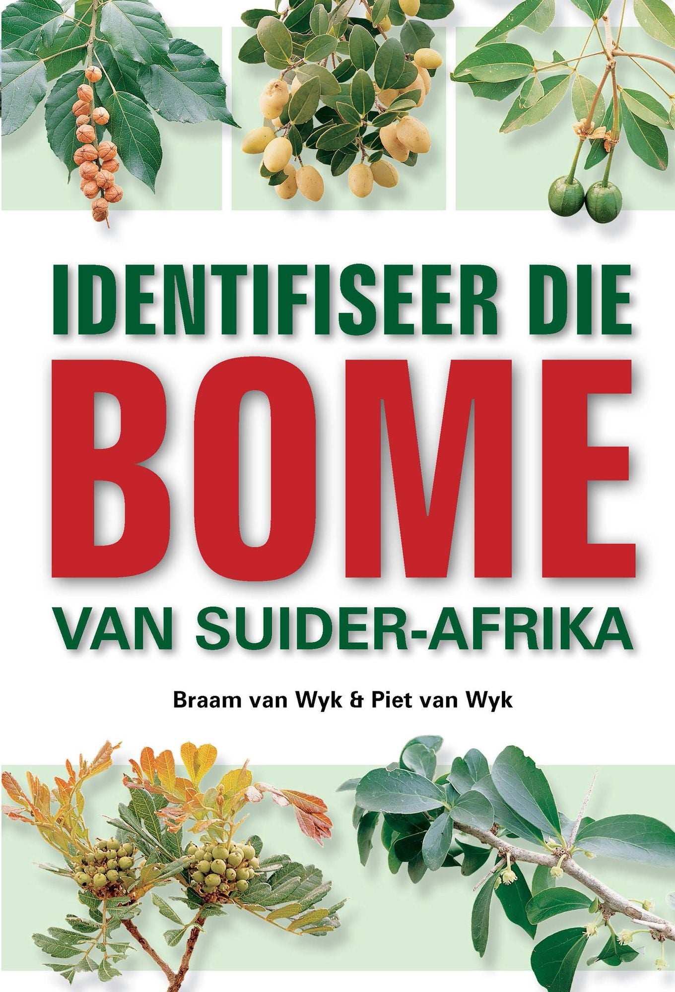 Identifiseer die Bome van Suider-Afrika