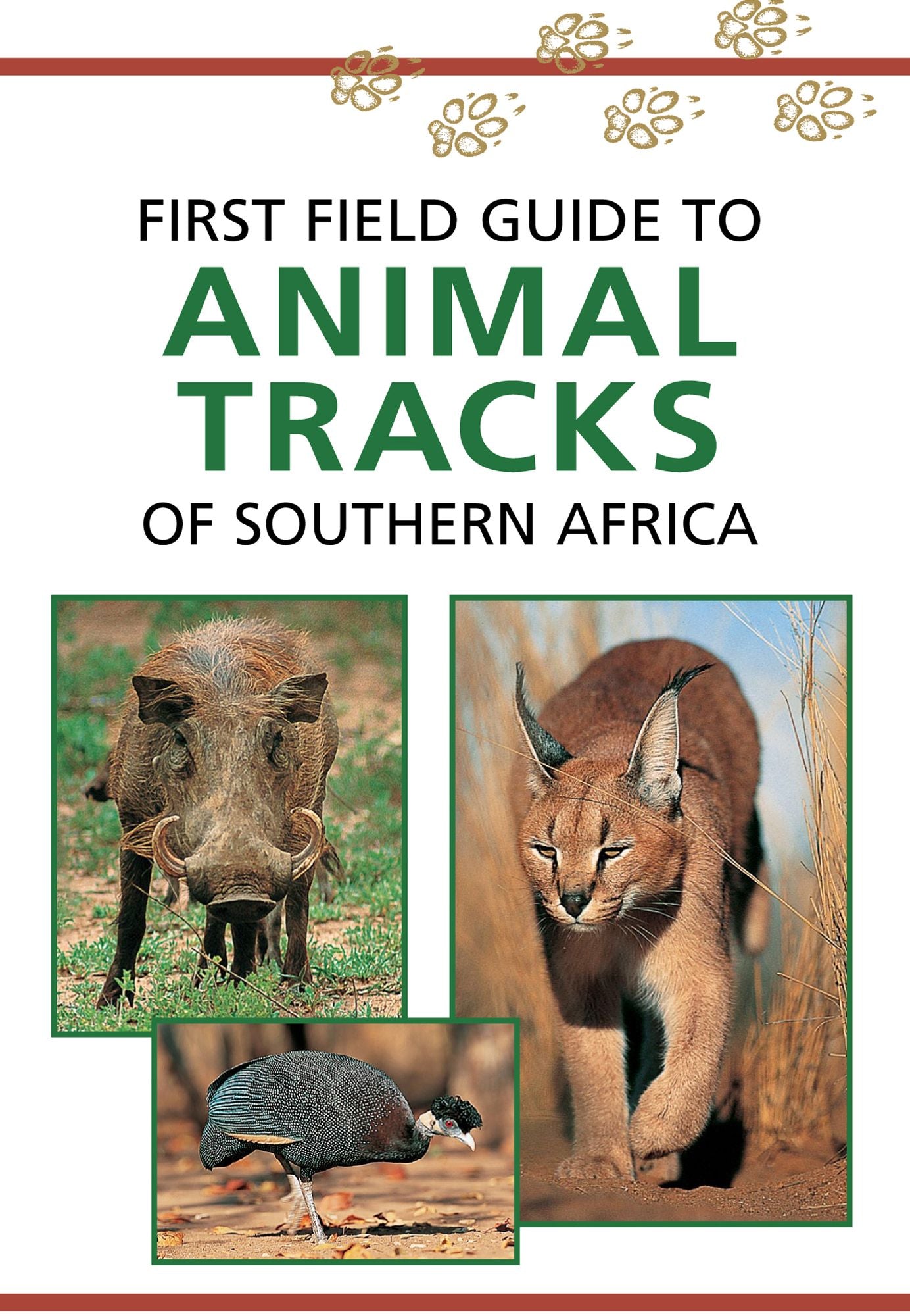 First Field Guide to Animal Tracks of Southern Africa
