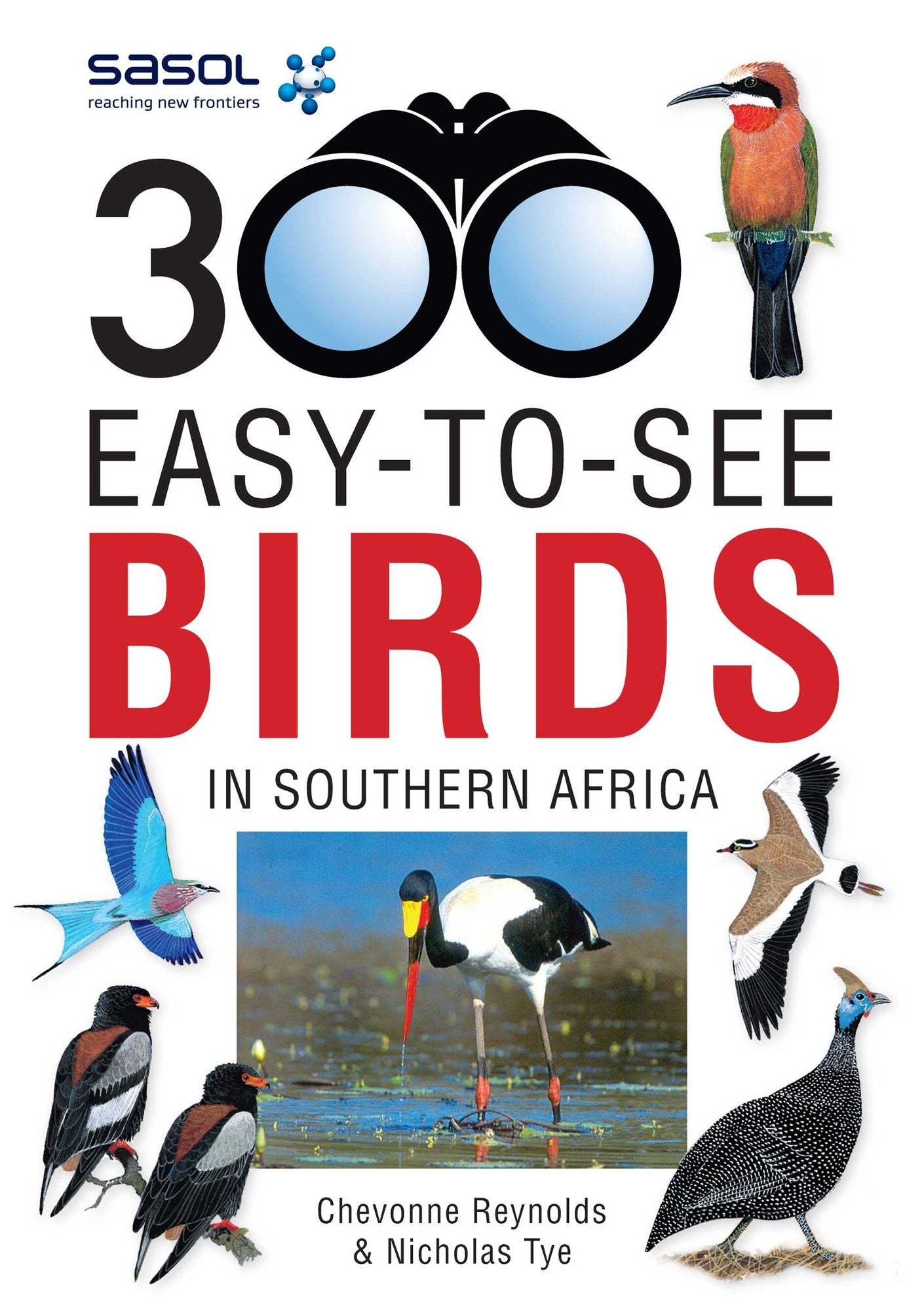 Sasol 300 easy-to-see Birds in Southern Africa