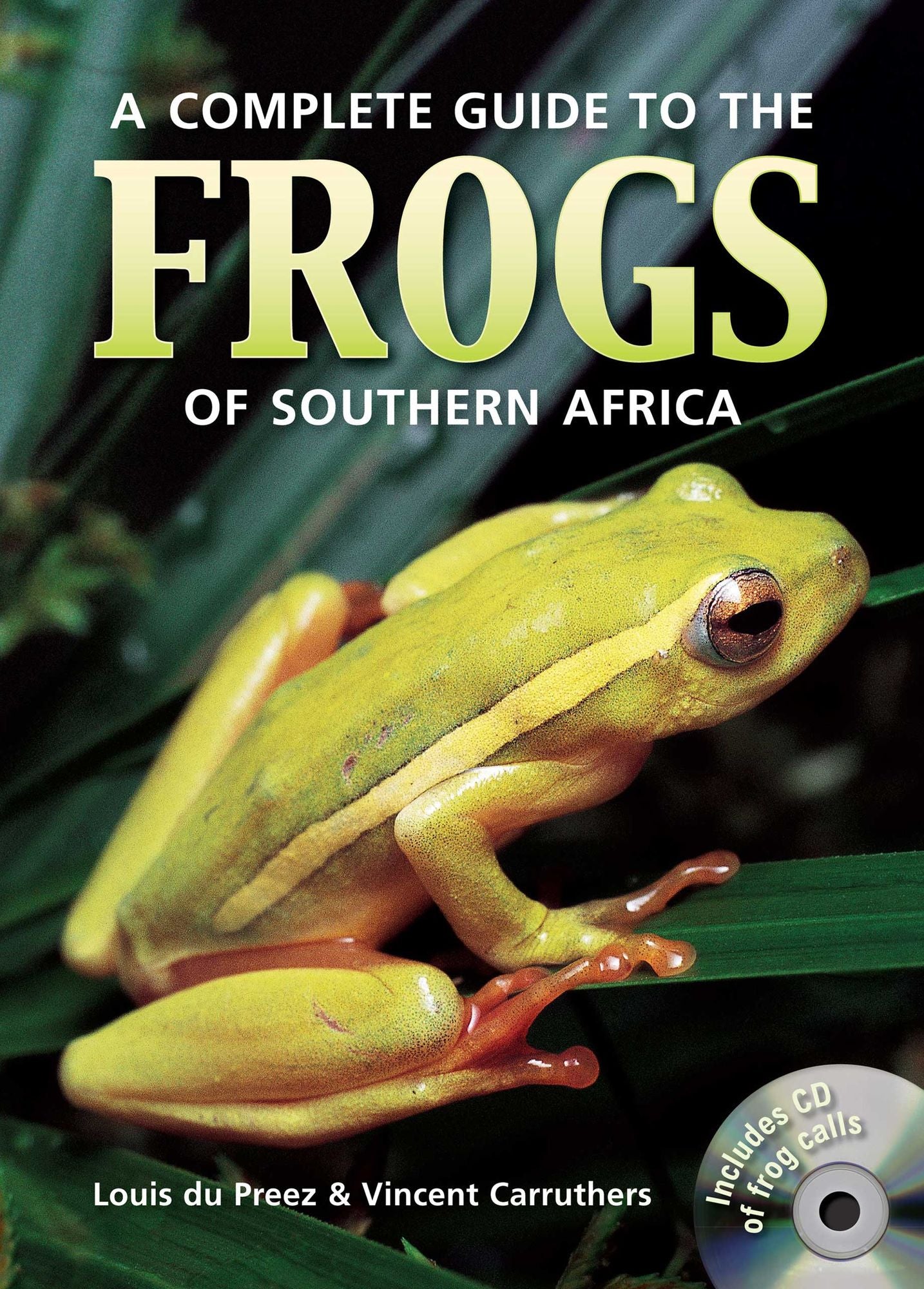 A Complete Guide to the Frogs of Southern Africa