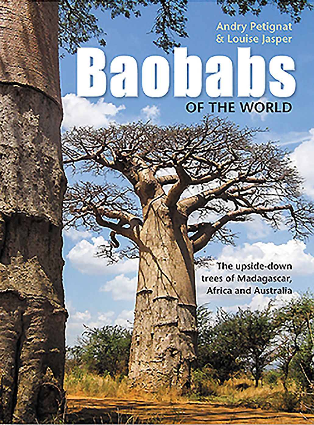 Baobabs of the World: The upside-down trees of Madagascar, Africa and Australia