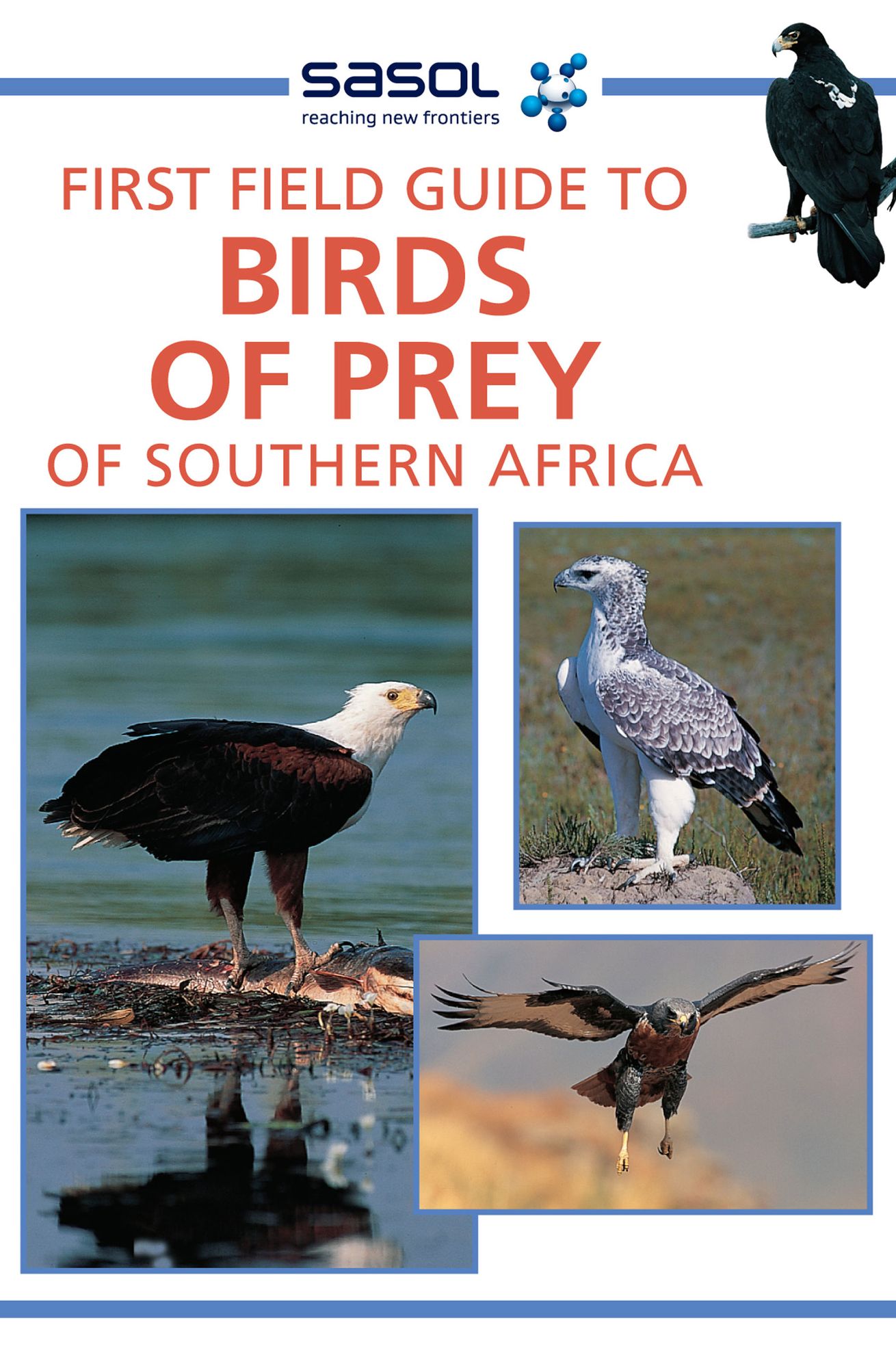 First Field Guide to Birds of Prey of Southern Africa