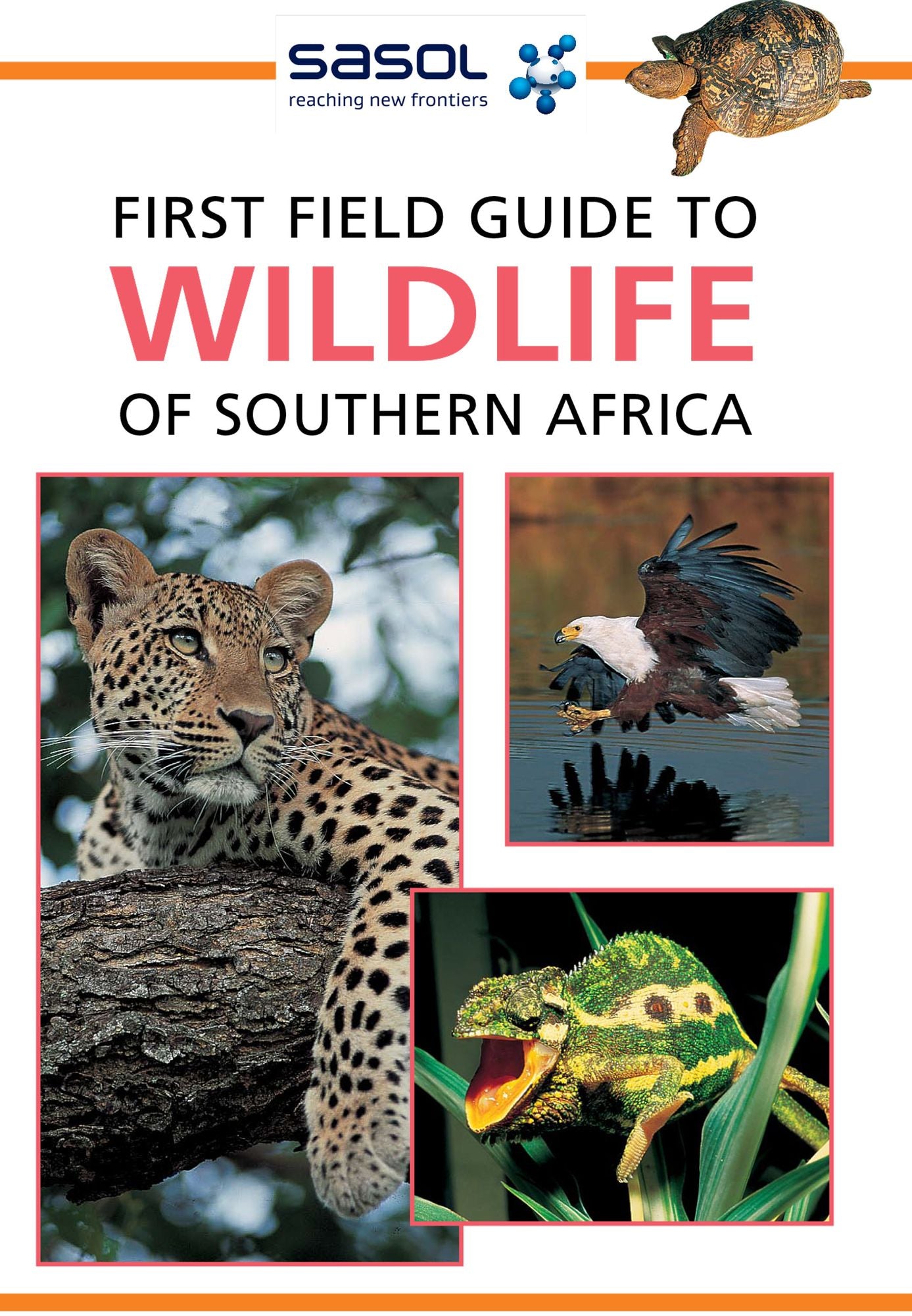 First Field Guide to Wildlife of Southern Africa