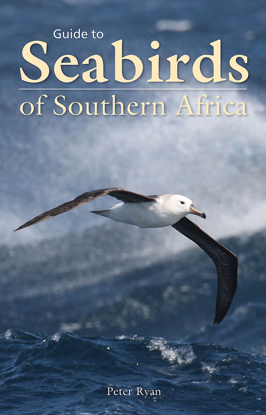Guide to Seabirds of Southern Africa