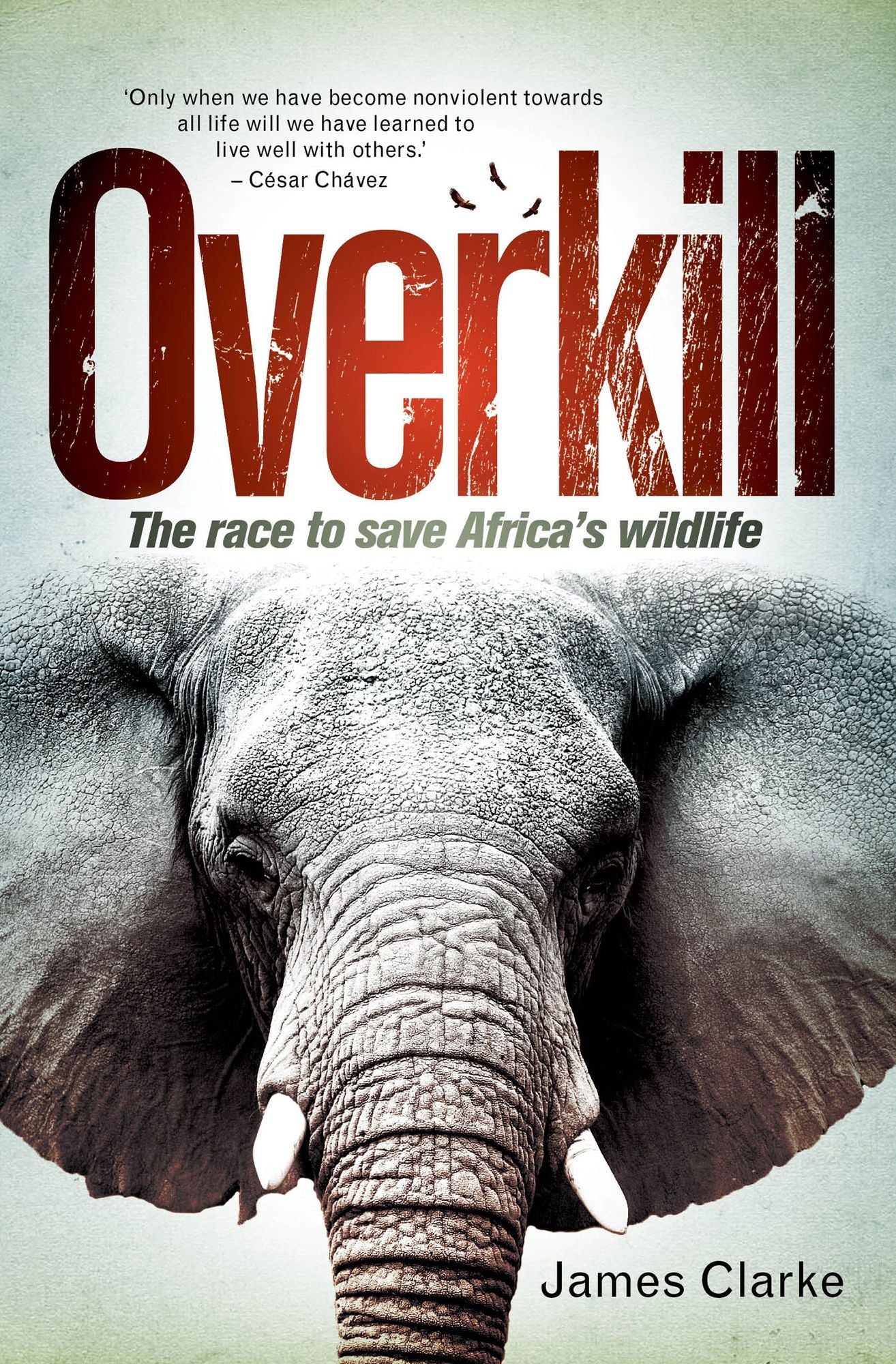 Overkill: The race to save Africa's wildlife