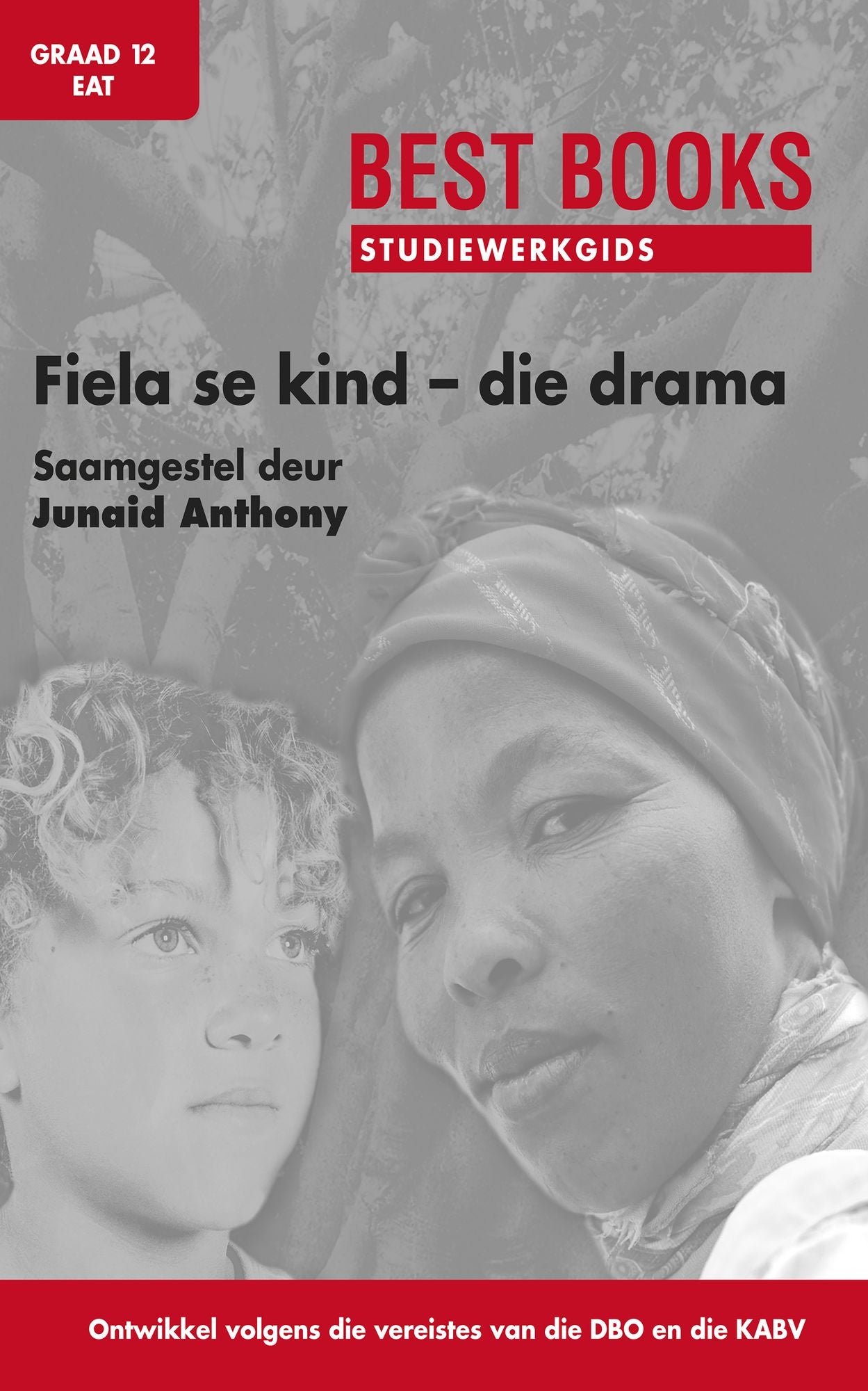 Best Books Studiewerkgids: Fiela se kind - die drama Gr 12 EAT