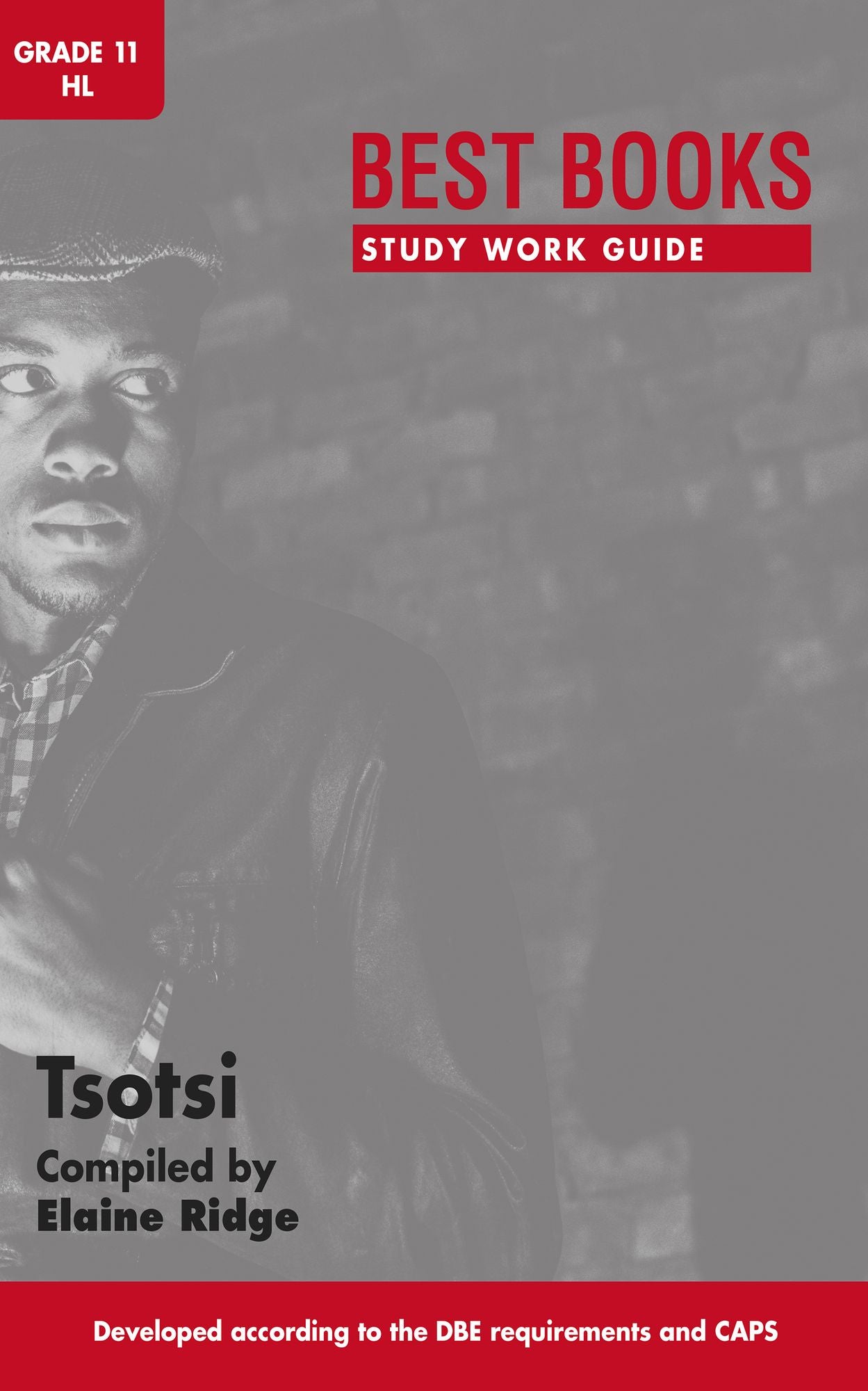 Best Books Study Work Guide: Tsotsi Gr 11 HL