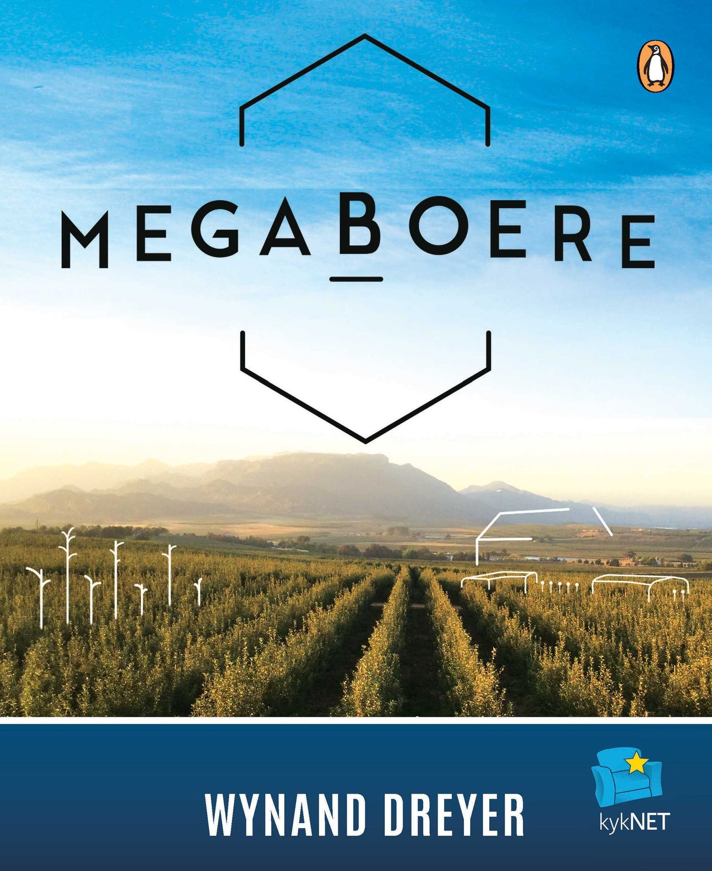Megaboere