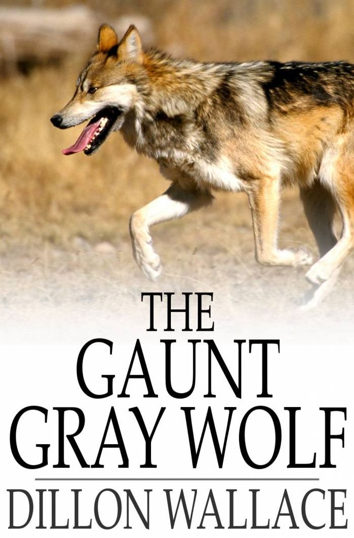 The Gaunt Gray Wolf: A Tale of Adventure With Ungava Bob
