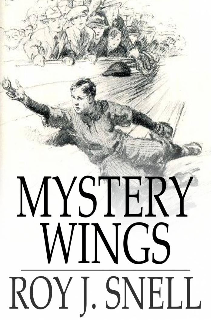 Mystery Wings: A Mystery Story for Boys