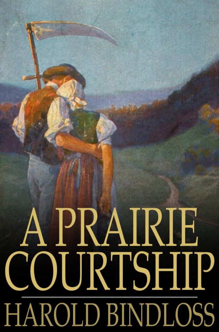A Prairie Courtship: Or, Alison's Adventure
