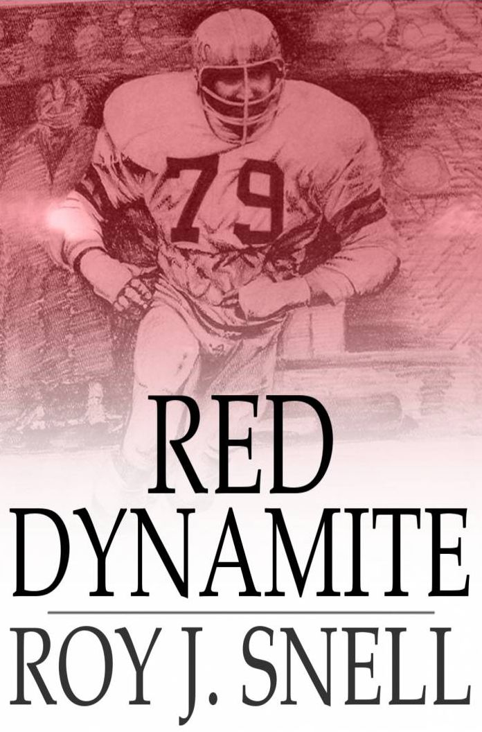 Red Dynamite: A Mystery Story for Boys