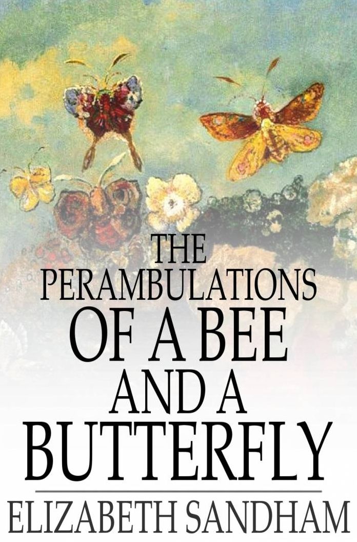 The Perambulations of a Bee and a Butterfly: In Which Are Delineated Those Smaller Traits of Character Which Escape the Observation of Larger Spectators