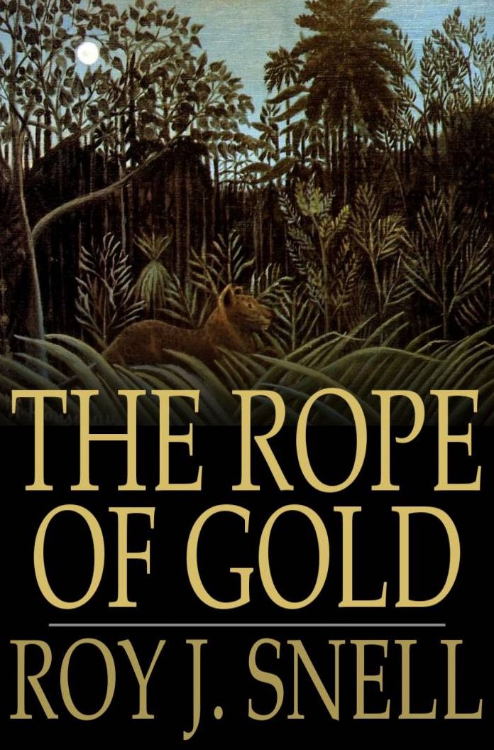 The Rope of Gold: A Mystery Story for Boys