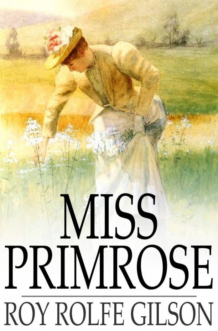 Miss Primrose: A Novel