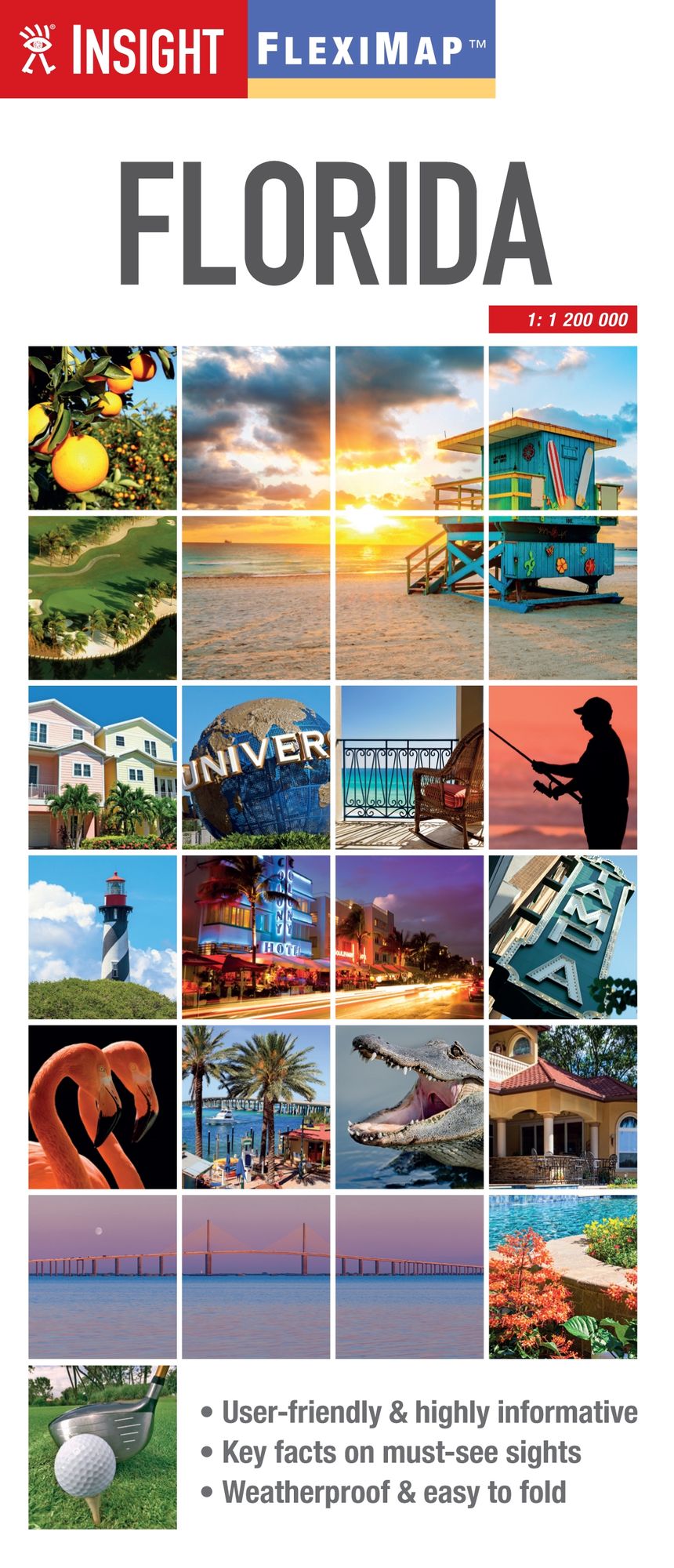 Insight FlexiMap: Florida