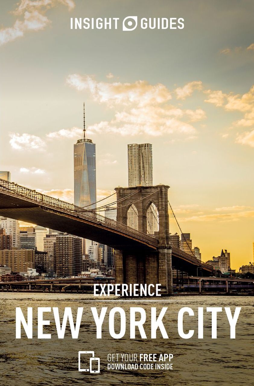 Insight Guides: Experience New York City