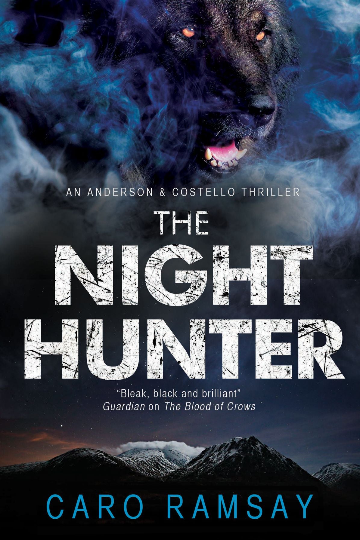 The Night Hunter: An Anderson & Costello police procedural set in Scotland