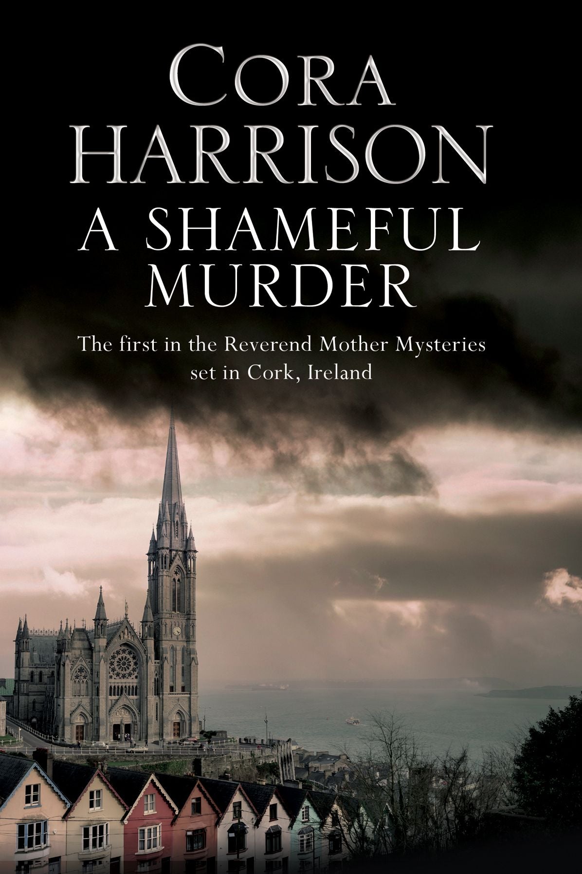 A Shameful Murder: A mystery set in 1920's Ireland