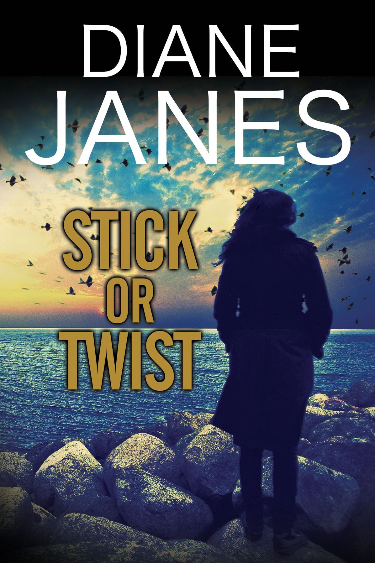 Stick or Twist: A contemporary romantic suspense