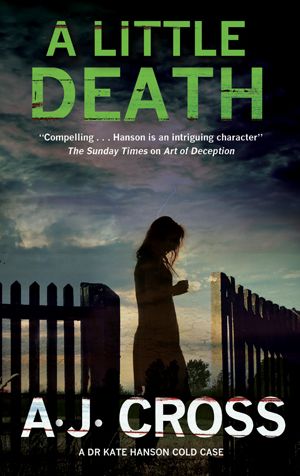 A Little Death: A forensic cold case mystery