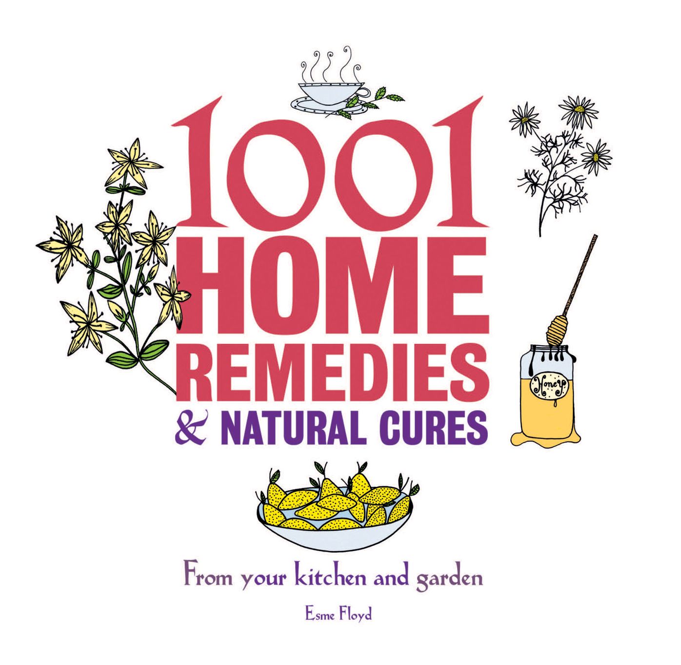 1001 Little Home Remedies and Natural Cures