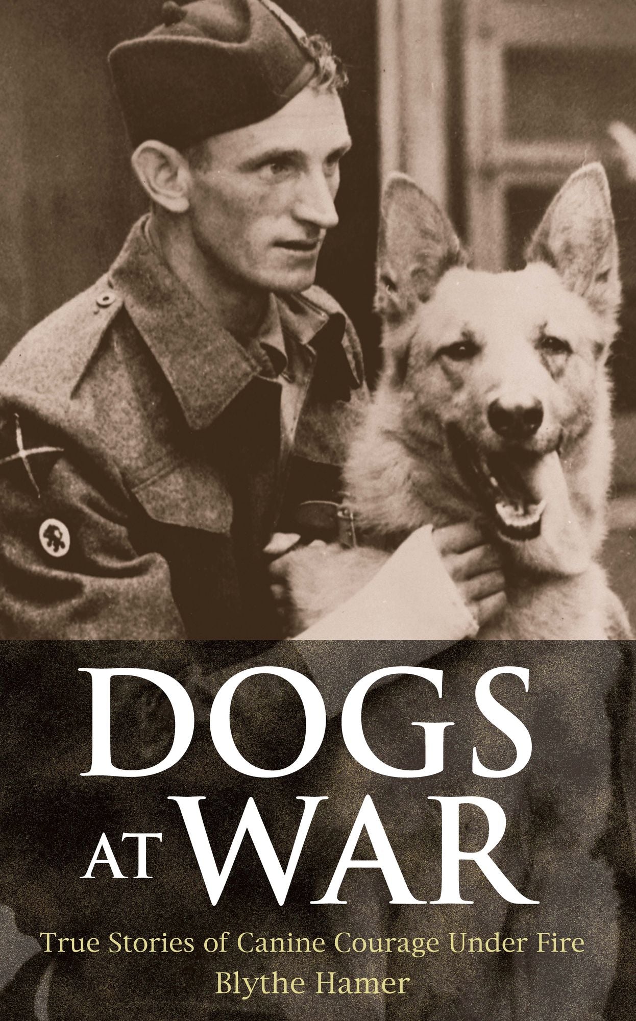 Dogs at War : True Stories of Canine Courage Under Fire