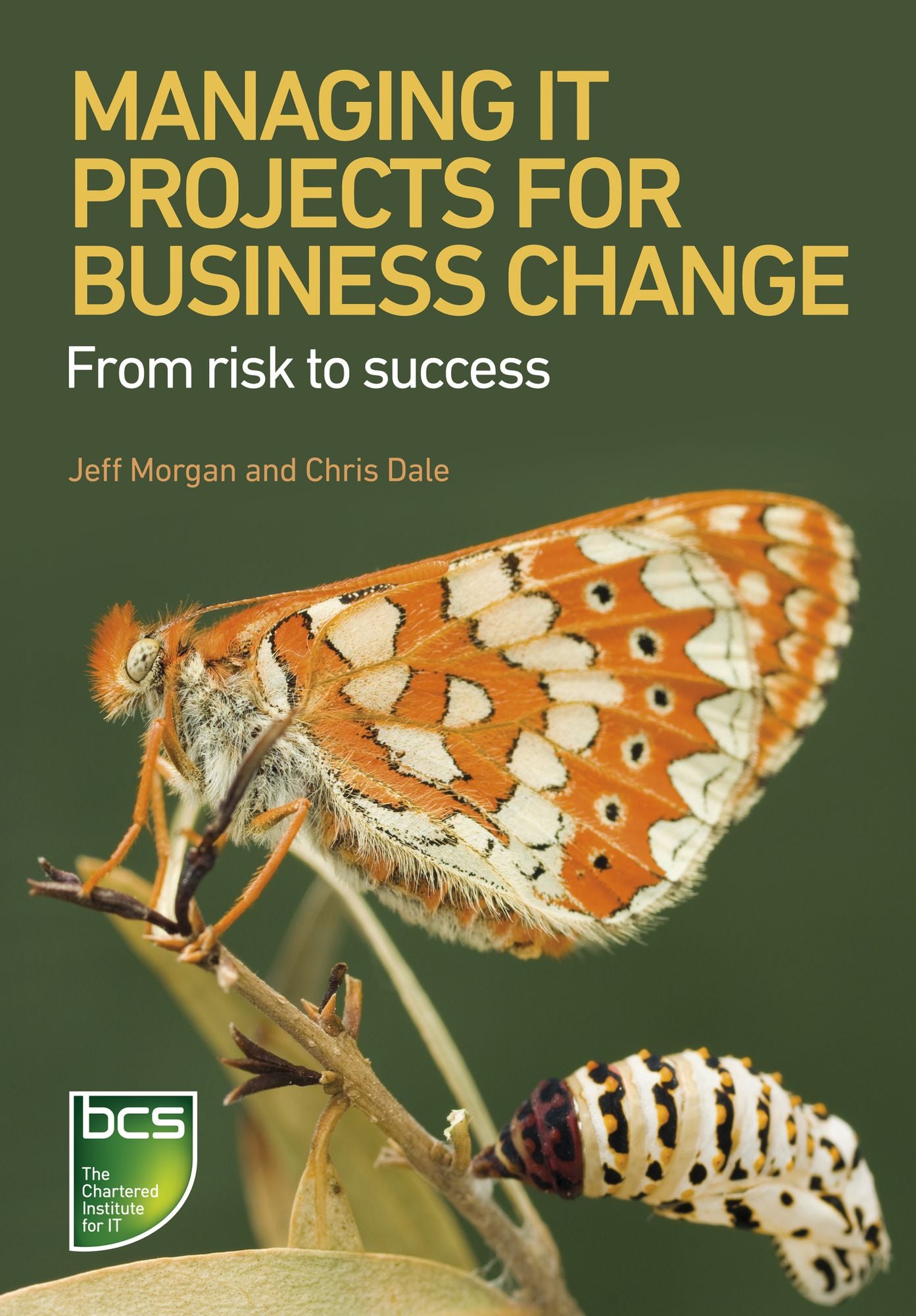 Managing IT Projects For Business Change: From risk to success