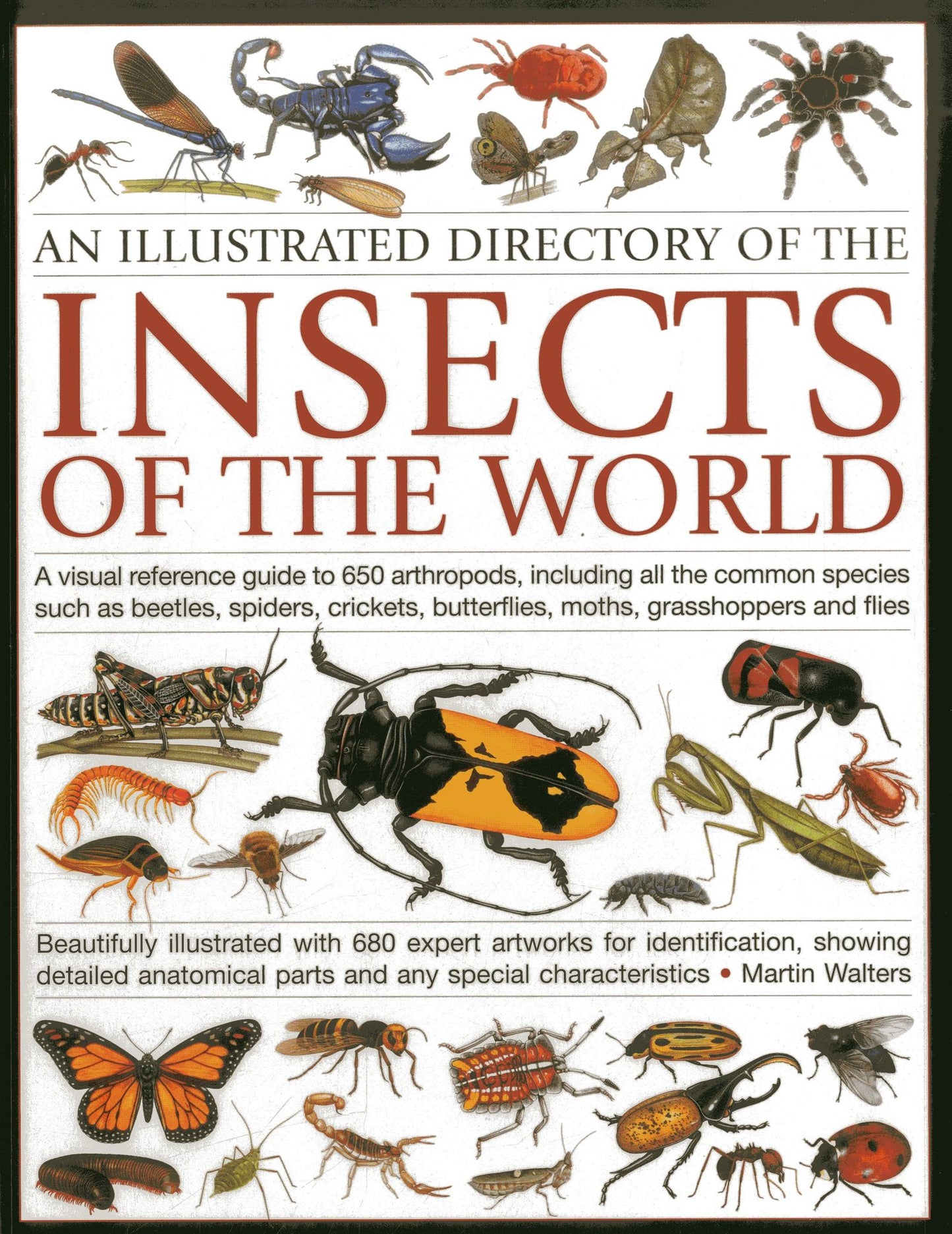 An Illustrated Directory of the Insects of the World: A visual reference guide to 650 arthropods, including all the common insect species such as beetles, spiders, butterflies, moths, grasshoppers and flies, beautifully illustrated with 680 expert artwor
