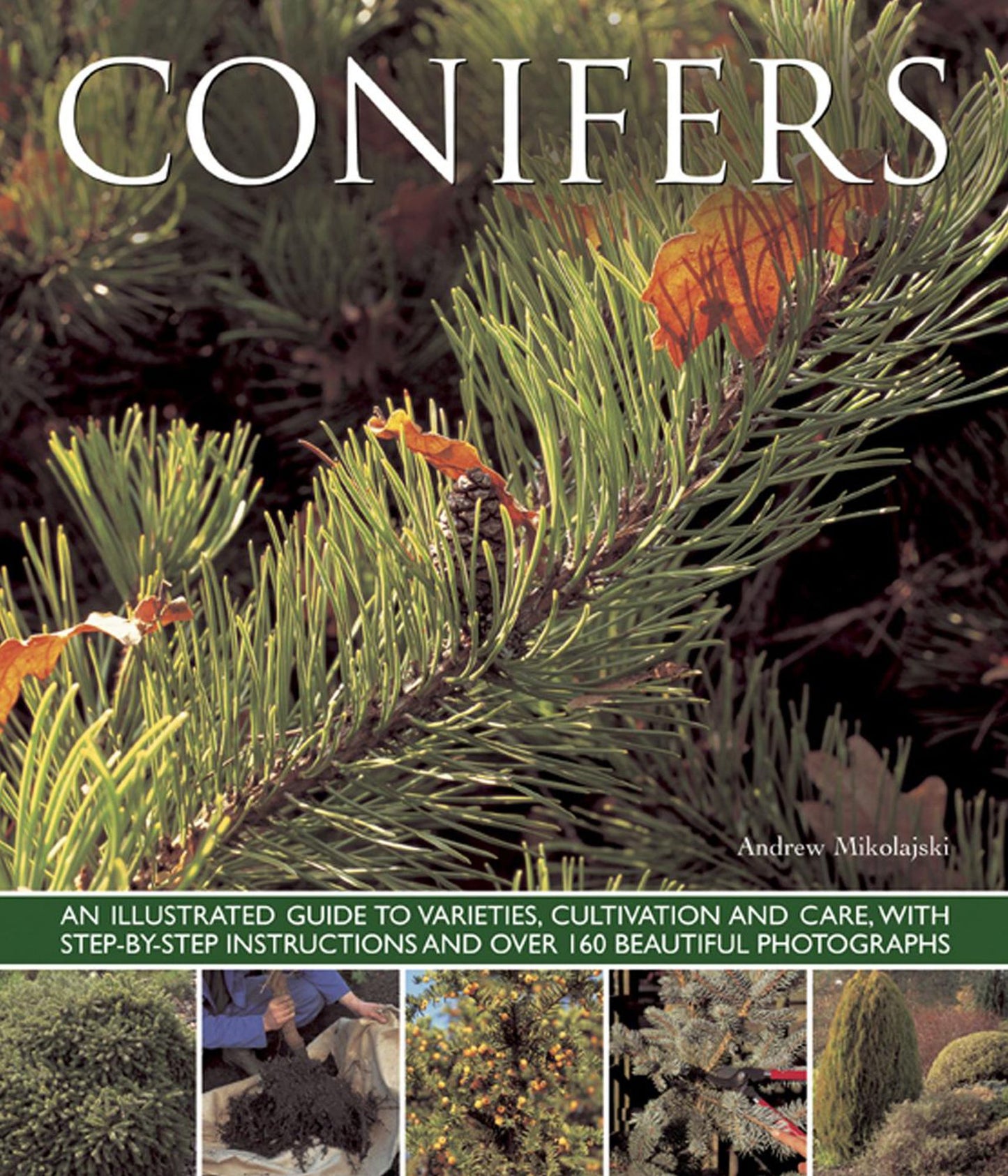 Conifers: An Illustrated Guide to Varieties, Cultivation and Care, with Step-by-Step Instructions and Over 160 Beautiful Photographs