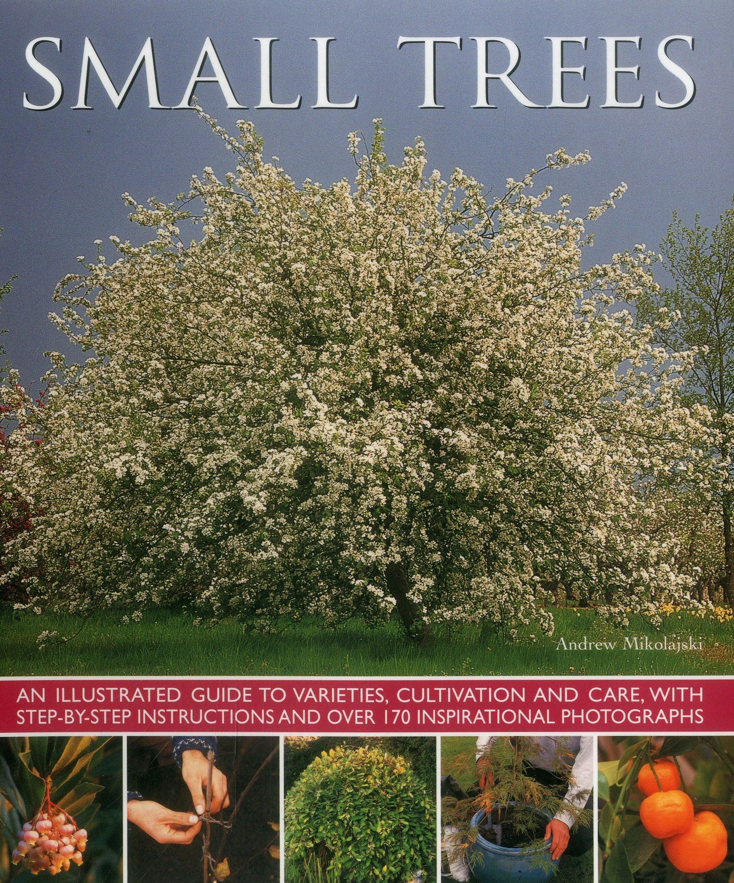 Small Trees: An Illustrated Guide To Varieties, Cultivation And Care, With Step-By-Step Instructions And Over 170 Inspirational Photographs
