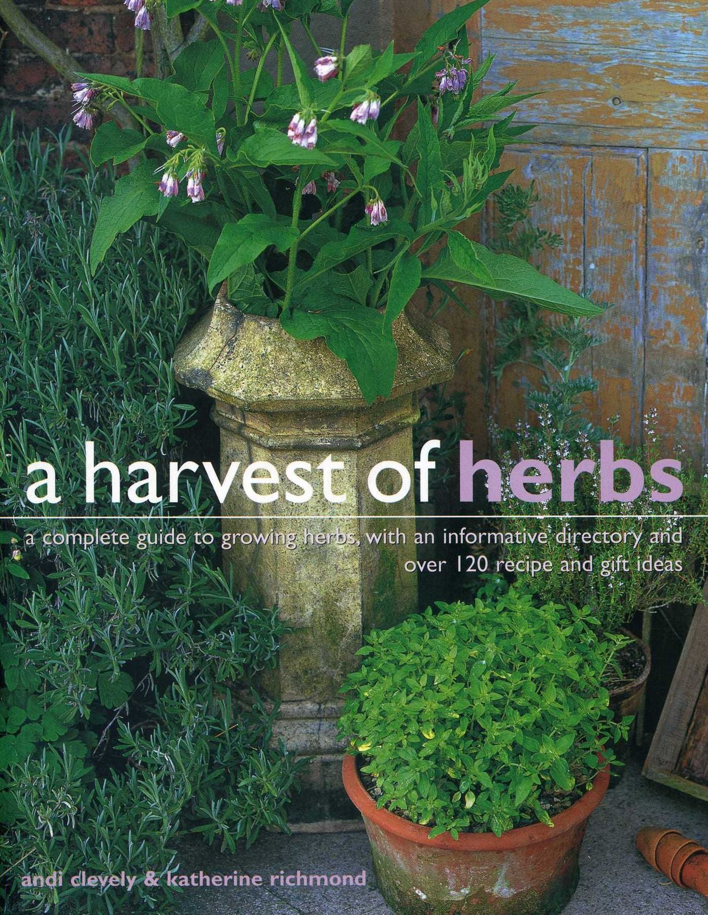 A Harvest of Herbs: A complete guide to growing herbs, with an informative directory and over 120 recipe and gift ideas